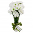 Arrangement of Daisies Plenitude and Lindt Swiss Classic