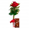 Arranjo Paixão com uma Rosas Colombianas e Lindt Avelã