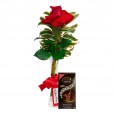 Arranjo Paixão com uma Rosas Colombianas e Lindt Dark