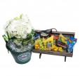 Heineken Aluminum Bucket with Snack Chest