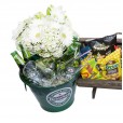 Heineken Aluminum Bucket with Snack Chest