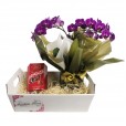 Sweet Orchid Basket III