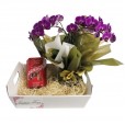 Sweet Orchid Basket III