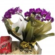 Sweet Orchid Basket III