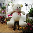 Mega Urso de Pelúcia com Cachecol -  120cm de altura