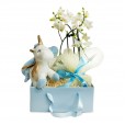 Maternity Gift Kit - Encanto Azul