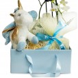 Maternity Gift Kit - Encanto Azul