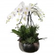 Orquídea Cascata Branca com Vaso de Inox e Suculentas